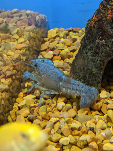 Pet Supply Store «Pet Supplies Plus», reviews and photos, 220 Market Dr, Elyria, OH 44035, USA