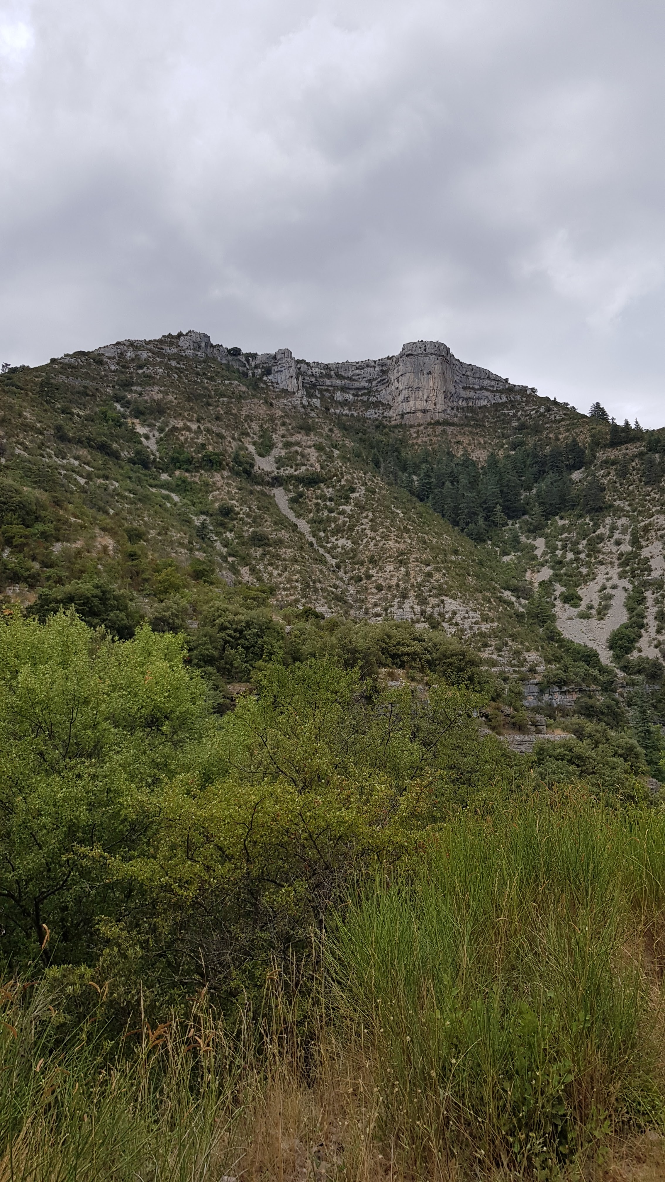 Photo n° 2 de l'avis de Quentin.a fait le 15/08/2019 à 20:13