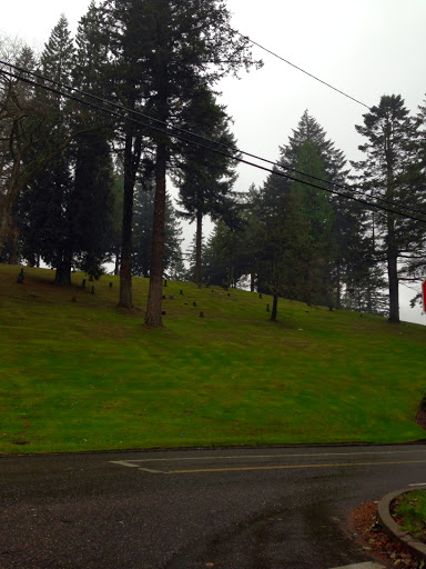 State Park «Willamette Stone State Heritage Site», reviews and photos, 253 NW Skyline Blvd, Portland, OR 97210, USA