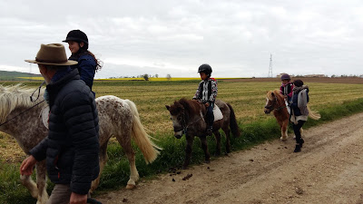 Club d'équitation Les Petites Ecuries de Genac à GENAC