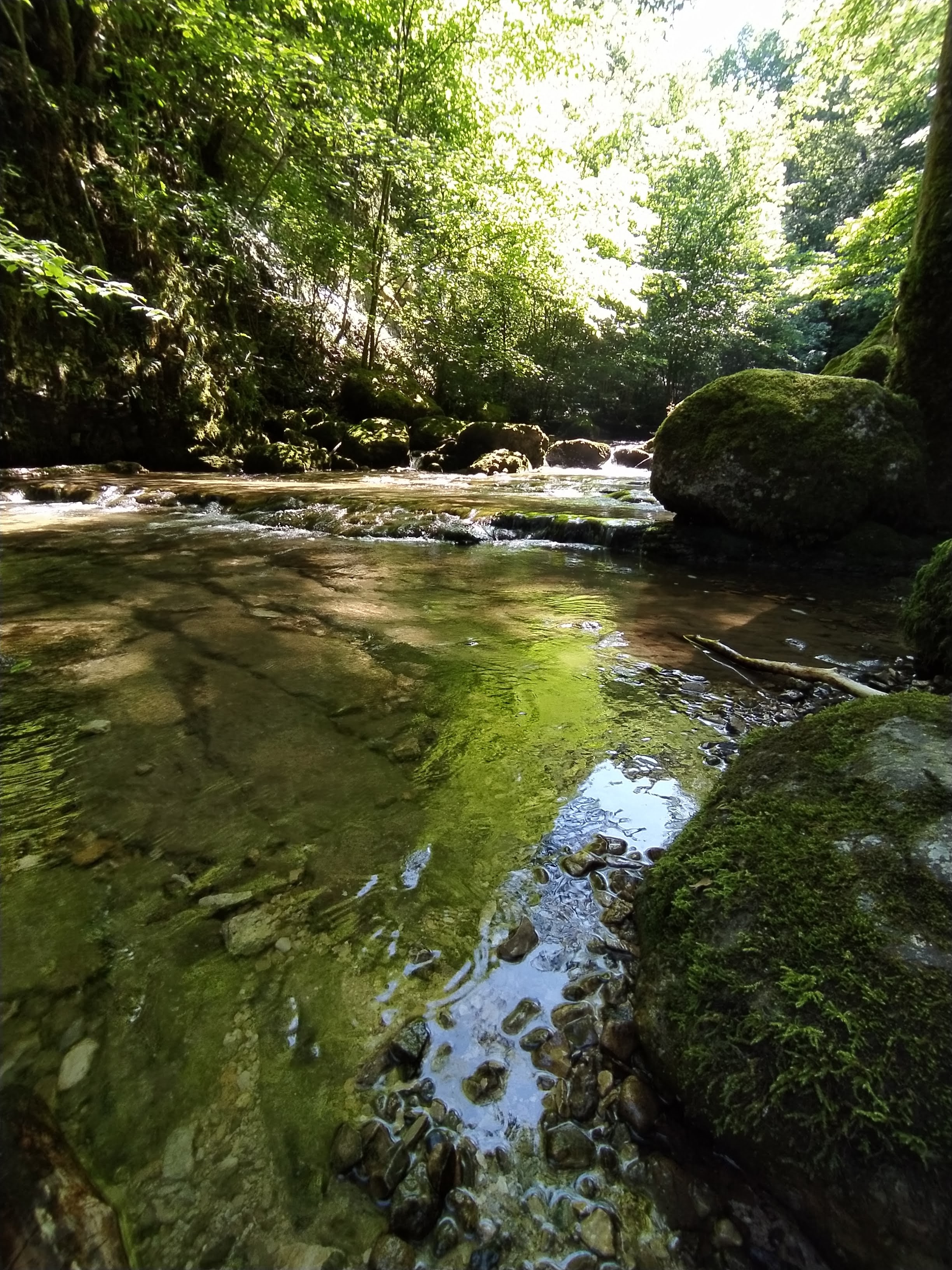 Photo n° 3 de l'avis de Dilou. fait le 24/06/2020 à 18:26