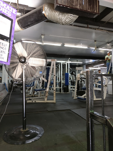 Gym «Powerhouse Gym», reviews and photos, 1626 Bronxdale Ave, Bronx, NY 10462, USA