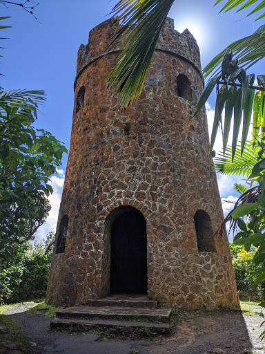 Hair Salon «Earnestly Natural Hair Care», reviews and photos, 10810 Emerald Club Ct, Raleigh, NC 27617, USA