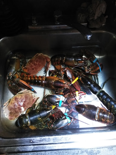 Tropical Fish Store «Aquastetics», reviews and photos, 354 E Main St, Fall River, MA 02724, USA