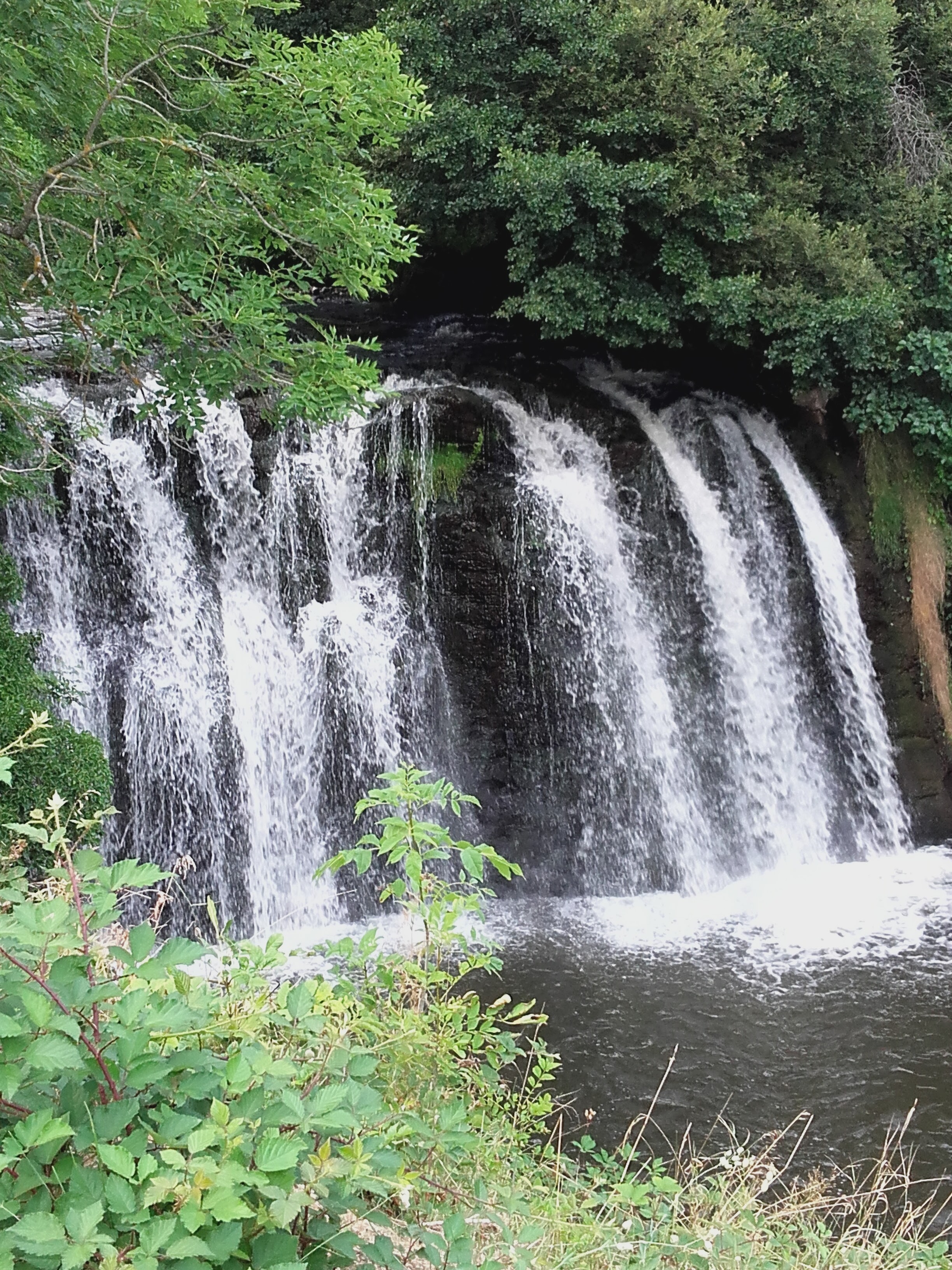 Photo n° 1 de l'avis de Gentay.r fait le 06/08/2019 à 15:55