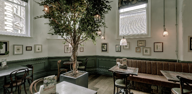The Botanist Bar & Restaurant Ipswich