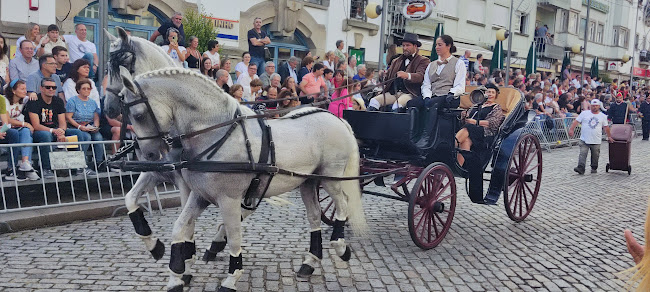 Avaliações doAuto Viação Minho, Lda em Viana do Castelo - Serviço de transporte