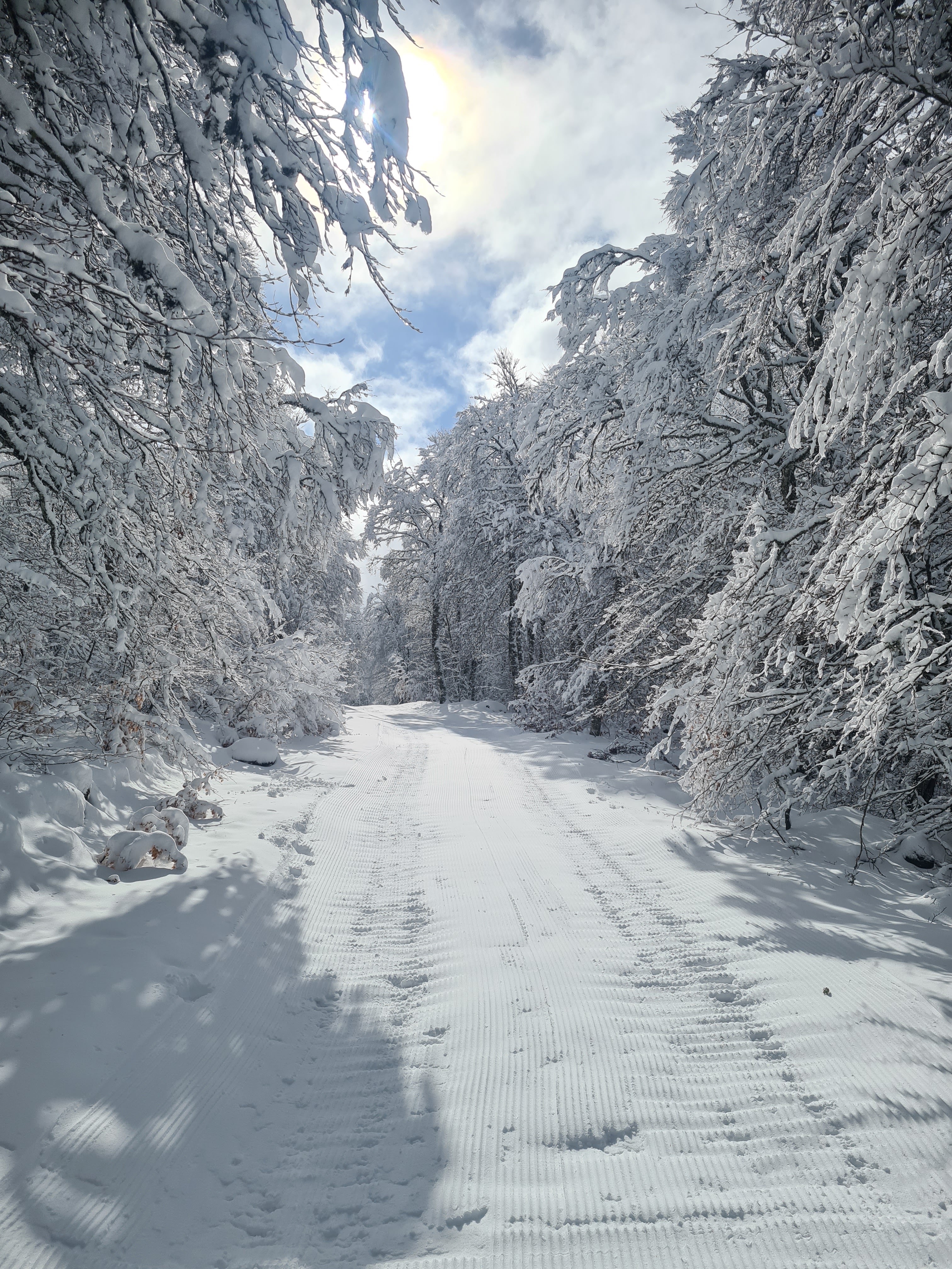 Photo n° 1 de l'avis de Ace. fait le 17/02/2022 à 17:20
