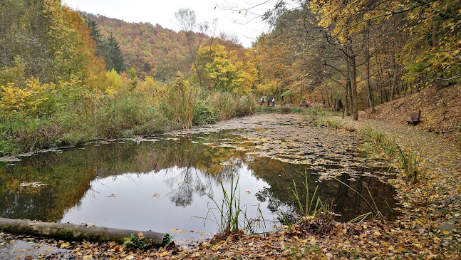 Kirándulóközpont fizetős parkoló