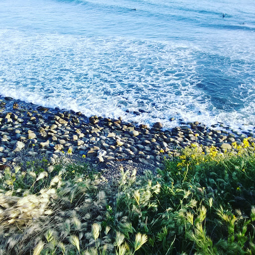 Automotive «Top Dead Center Motorcycles», reviews and photos, 1540 Pine St, Oxnard, CA 93030, USA