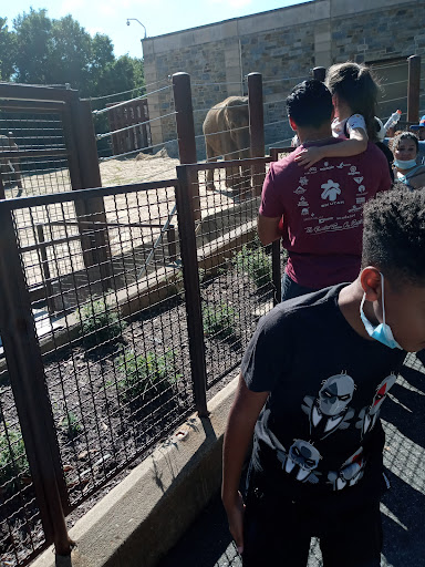 Tourist Attraction «Elephant Trails», reviews and photos, 3001 Connecticut Ave NW, Washington, DC 20008, USA