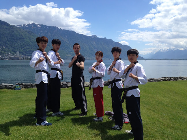 School Of Art Martial Korean - Nyon