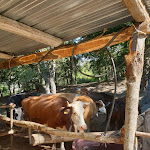 Photo n°7 de l'avis de In.u fait le 16/08/2020 à 20:08 sur le  Agriturismo La Vedetta dei Nebrodi à San Salvatore di Fitalia