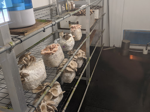 Produce Market «The Woodlands at Phillips», reviews and photos, 1020 Kaolin Rd, Kennett Square, PA 19348, USA