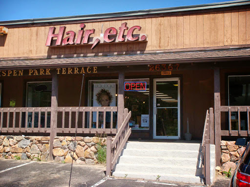 26367 Conifer Rd Unit C, Conifer, CO 80433, USA