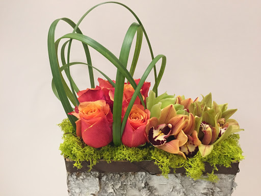 Shopping Mall «Village Centre», reviews and photos, 776 Walker Rd, Great Falls, VA 22066, USA