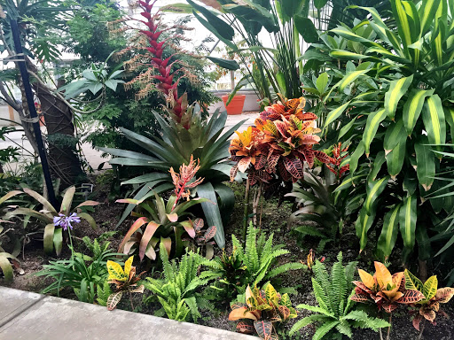 Botanical Garden «Roger Williams Park Botanical Center», reviews and photos, 1000 Elmwood Avenue, Providence, RI 02905, USA