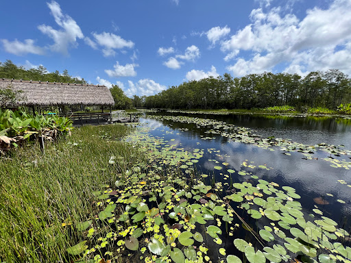 Nature Preserve «Grassy Waters Preserve», reviews and photos, 8264 Northlake Blvd, West Palm Beach, FL 33412, USA