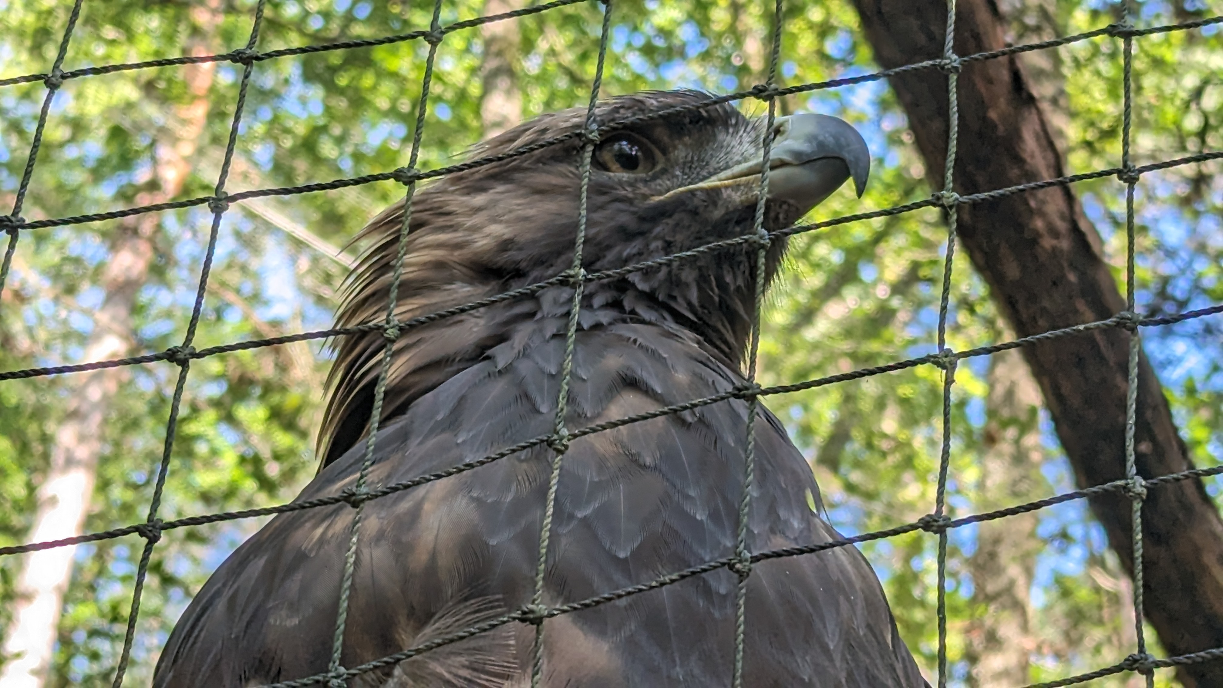Photo n° 3 de l'avis de Jacques.L fait le 11/08/2023 à 14:47