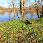 Photo n° 1 de l'avis de Patricia. fait le 13/12/2022 à 20:25 pour ZOETIM Cliniques Vétérinaires à Mauges-sur-Loire