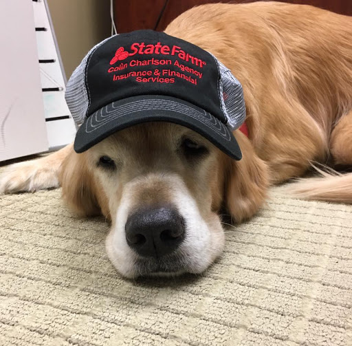 Auto Insurance Agency «Colin Charlson - State Farm Insurance Agent», reviews and photos