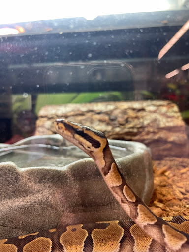 Pet Supply Store «PetSmart», reviews and photos, 625 W Crossville Rd, Roswell, GA 30075, USA