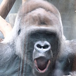 Photo n° 5 de l'avis de Nathalie.o fait le 05/11/2023 à 13:12 pour Zoo d'Amnéville à Amnéville