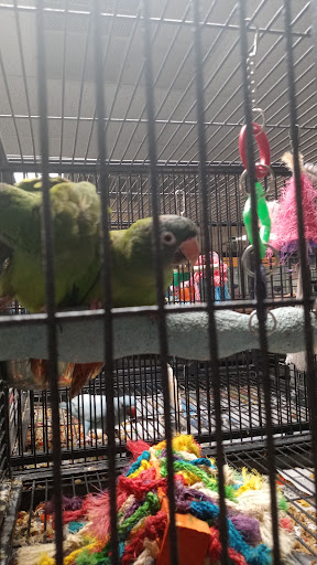 Pet Store «Pet Zone», reviews and photos, 8925 Jewella Ave #4, Shreveport, LA 71118, USA