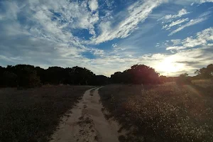 Fort Ord Day Camp Cycling Area image