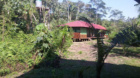 Amazon Lodge Tambopata