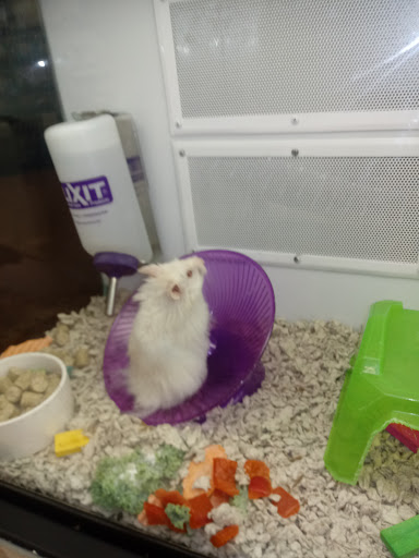 Pet Supply Store «Petco Animal Supplies», reviews and photos, 3401 Pineville-Matthews Rd, Charlotte, NC 28226, USA