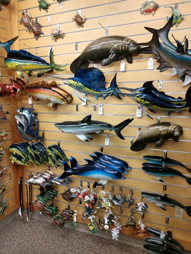 Gift Shop «Big Shark», reviews and photos, 2715 N Atlantic Ave, Daytona Beach, FL 32118, USA