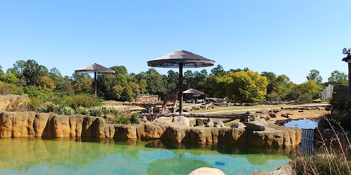 Zoo «Caldwell Zoo», reviews and photos, 2203 W Martin Luther King Jr Blvd, Tyler, TX 75702, USA