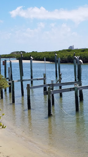 Fishing Charter «Ponce Inlet Water Sports», reviews and photos, 4936 S Peninsula Dr, Ponce Inlet, FL 32127, USA