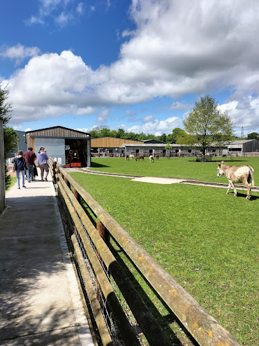 Cefn Mably Farm Park - Cardiff