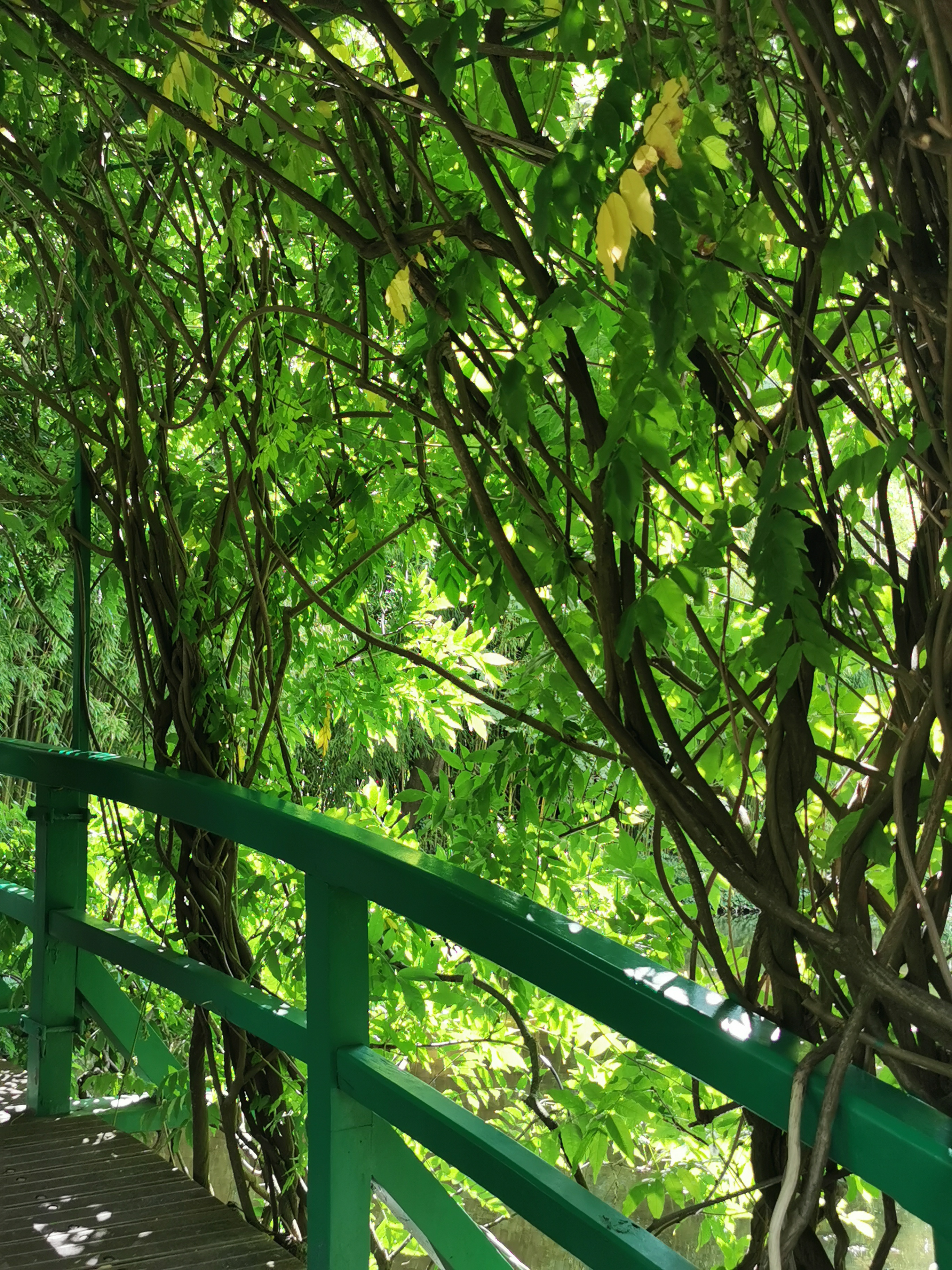 Photo n° 9 de l'avis de Francine.E fait le 27/08/2023 à 20:10