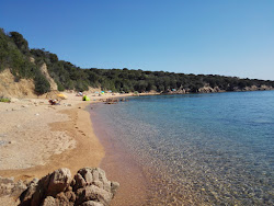 Foto di Spiaggia del Costone ubicato in zona naturale