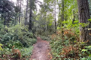 Manzanita Park image