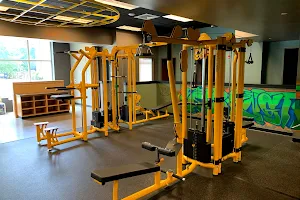 District901 Gym image