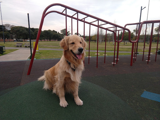 Parque para perros Buenos Aires