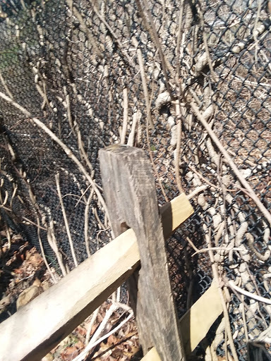 Museum «Eli Whitney Museum», reviews and photos, 915 Whitney Ave, Hamden, CT 06517, USA