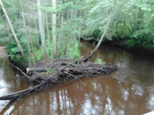 Public Golf Course «Hamilton Trails Golf Club», reviews and photos, 620 Harbor Ave, Mays Landing, NJ 08330, USA