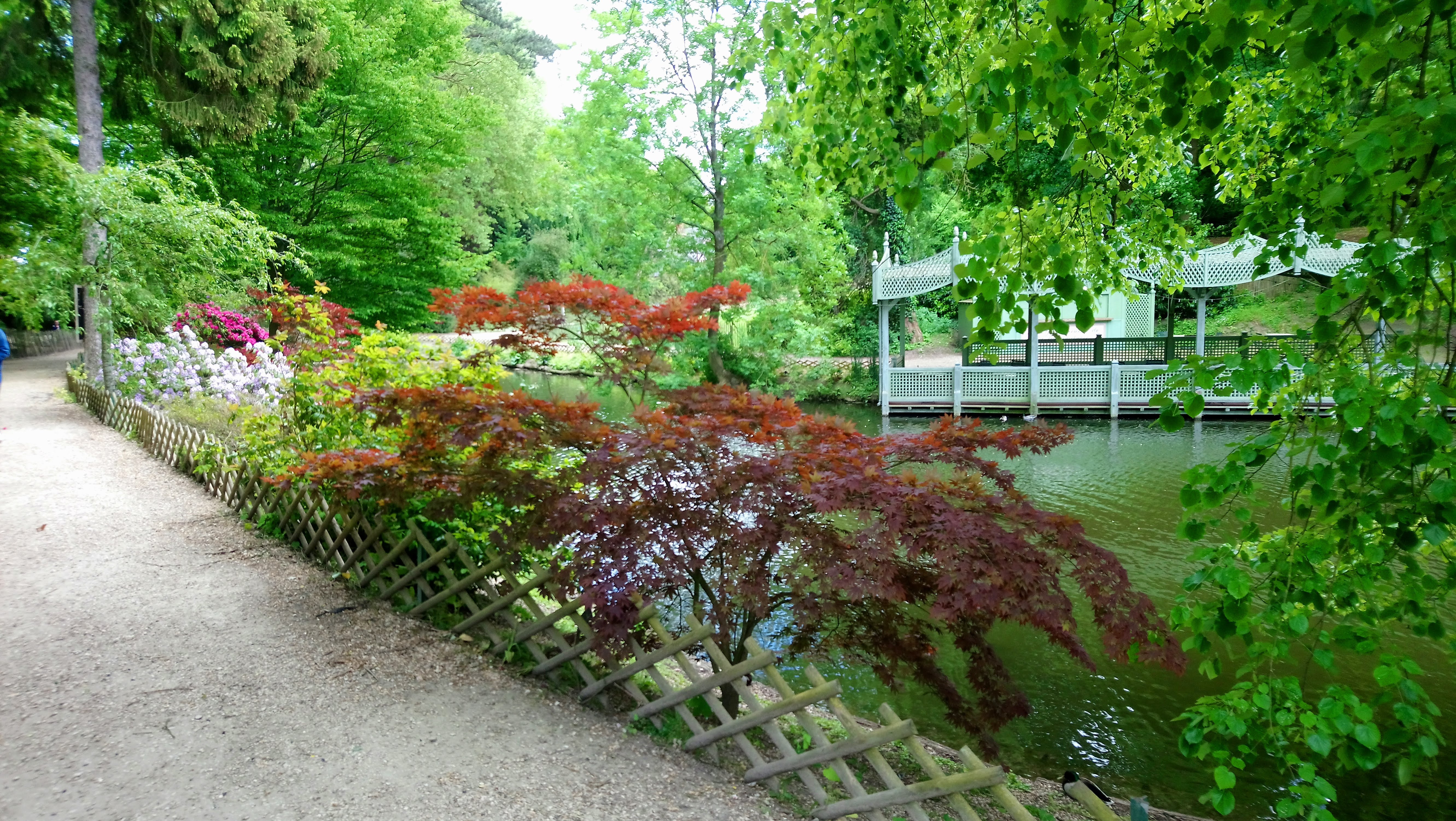 Photo n° 7 de l'avis de Lio972.i fait le 10/05/2018 à 22:44