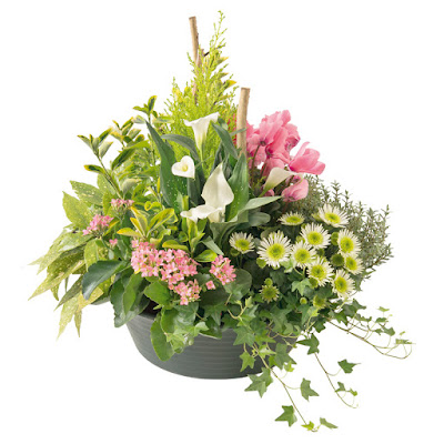 Interflora à Villefranche-sur-Saône