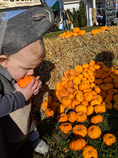 Shopping Mall «Stony Brook Village Center», reviews and photos, 111 Main St, Stony Brook, NY 11790, USA