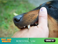 Rosenthal Law - Photo 7 - Car repair in Sacramento, CA, Sacramento