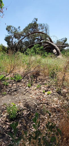 Golf Course «Balboa Golf Course», reviews and photos, 16821 Burbank Blvd, Encino, CA 91436, USA