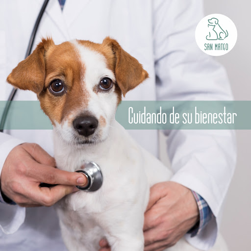 Centro Veterinario San Mateo - Veterinarios En Oviedo en Oviedo