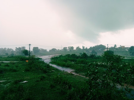 Google Maps image 15