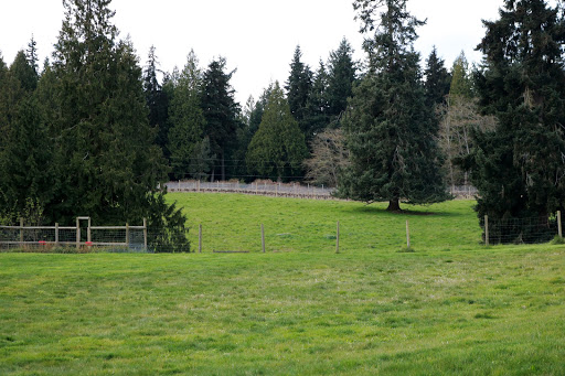 Winery «Comforts of Whidbey», reviews and photos, 5219 View Rd, Langley, WA 98260, USA